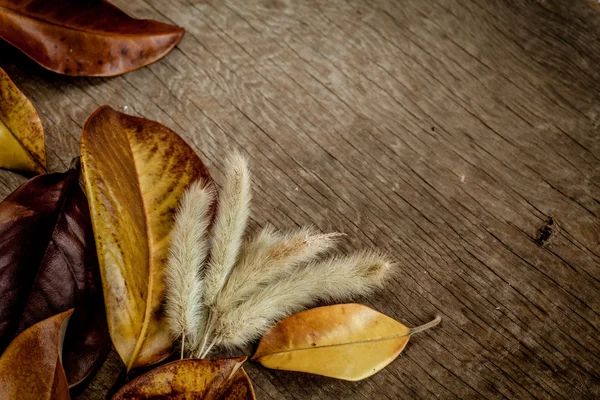 Autunno sfondo con foglie — Foto Stock