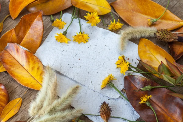 Blätter, Blumen und Papiere — Stockfoto
