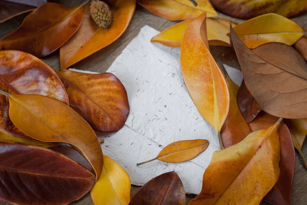 Fondo de otoño con hojas — Foto de Stock