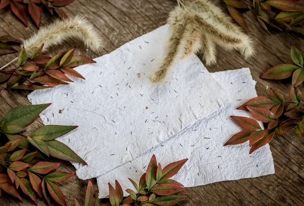 Herbst Hintergrund mit Blättern — Stockfoto