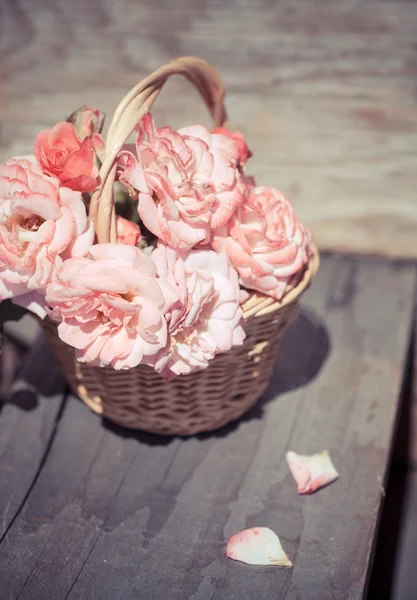 Roses roses dans le panier — Photo