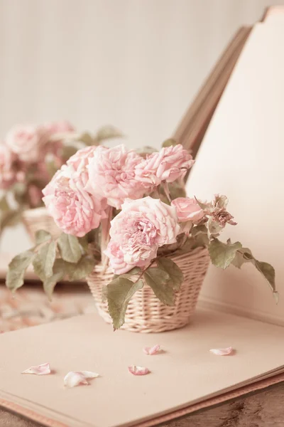 Roses roses dans le panier — Photo