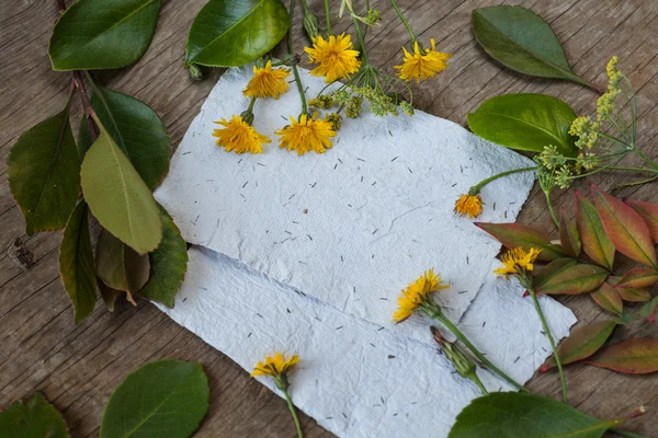 Leaves, flowers and  papers — Stock Photo, Image