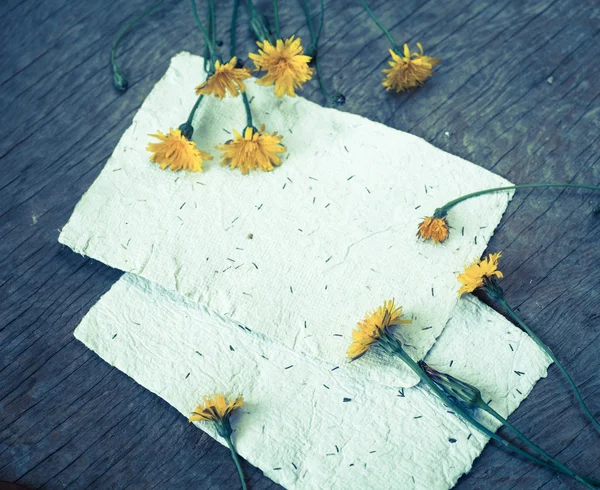 Sfondo con fiori e carte bianche — Foto Stock