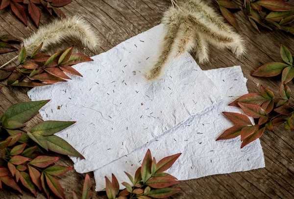 Autumn background with leaves — Stock Photo, Image