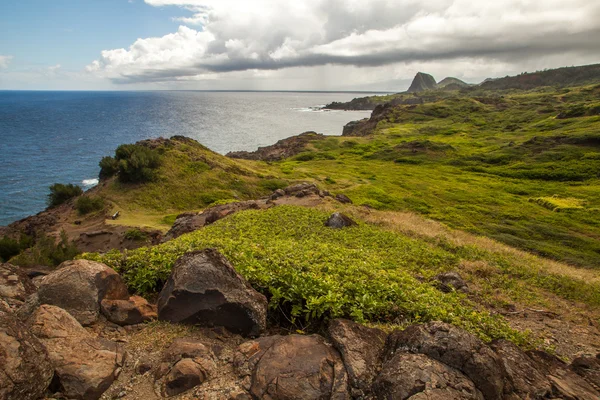 Paisagem montanhosa com oceano pacífico — Fotografia de Stock