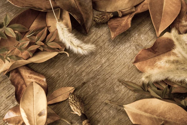 Autumn background with leaves — Stock Photo, Image