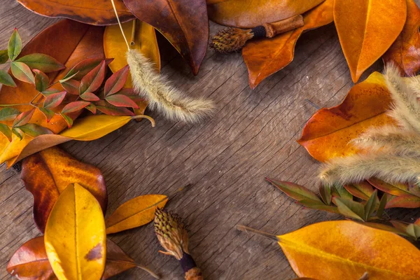 Autumn background with leaves — Stock Photo, Image