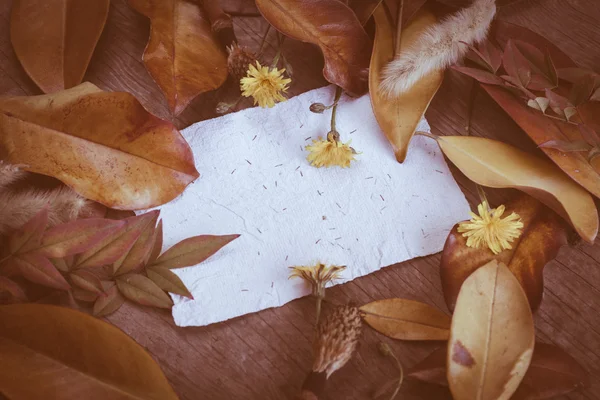 Hojas, flores y papel — Foto de Stock