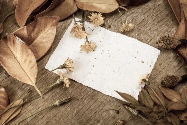 Folhas, flores e papel — Fotografia de Stock