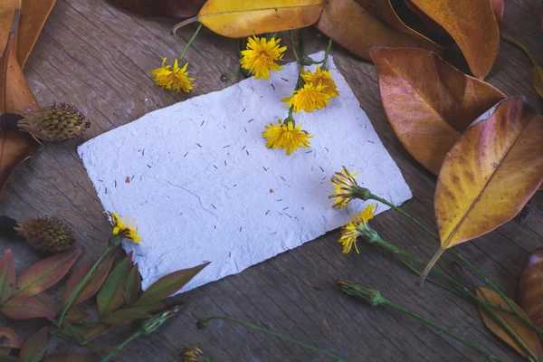 Leaves, flowers and  papers — Stock Photo, Image