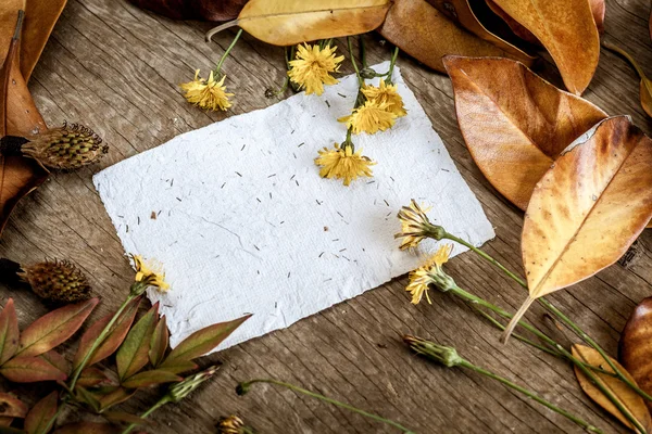 Folhas, flores e papel — Fotografia de Stock