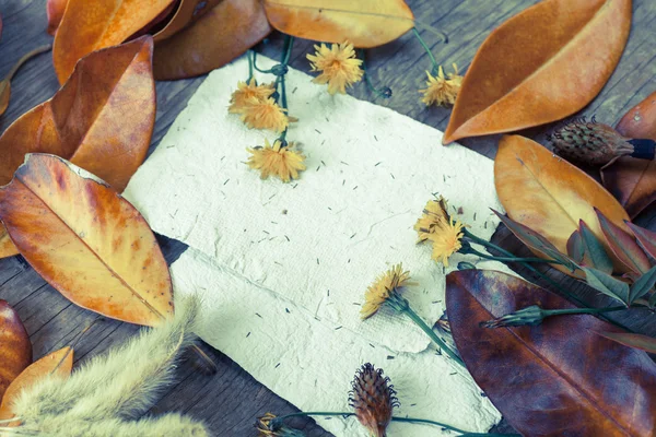 Leaves, flowers and  papers — Stock Photo, Image