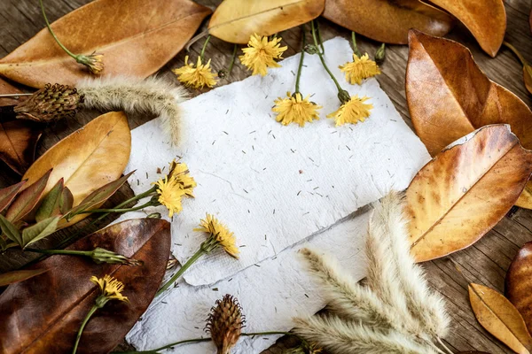 Blätter, Blumen und Papiere — Stockfoto