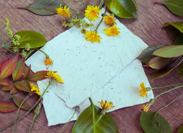 Folhas, flores e papéis — Fotografia de Stock