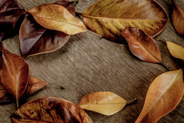 Fondo de otoño con hojas —  Fotos de Stock