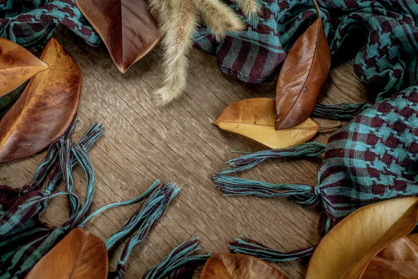 Фон с листьями, шарфом — стоковое фото