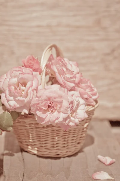 Roses roses dans le panier — Photo