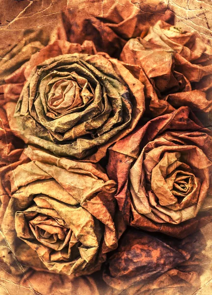 Torrt papper rosor — Stockfoto
