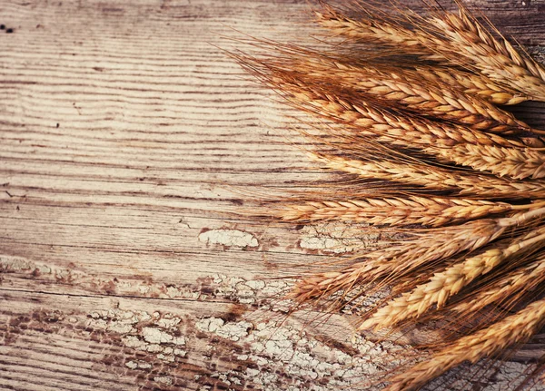 Espiguetas de trigo na velha mesa de madeira — Fotografia de Stock