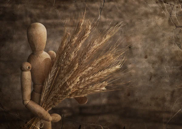 Hombre de madera sosteniendo espiguillas de trigo — Foto de Stock