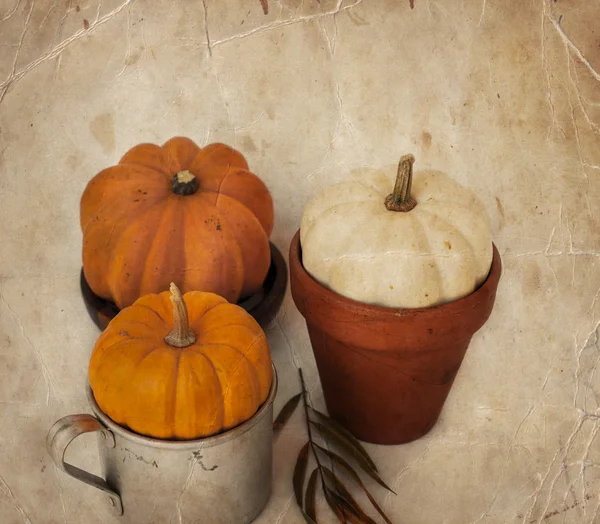 Pumpkins on bowl, cup and pot — Stock Photo, Image