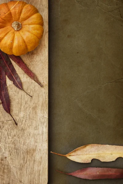 Close-up of pumpkin and leaves — Stock Photo, Image