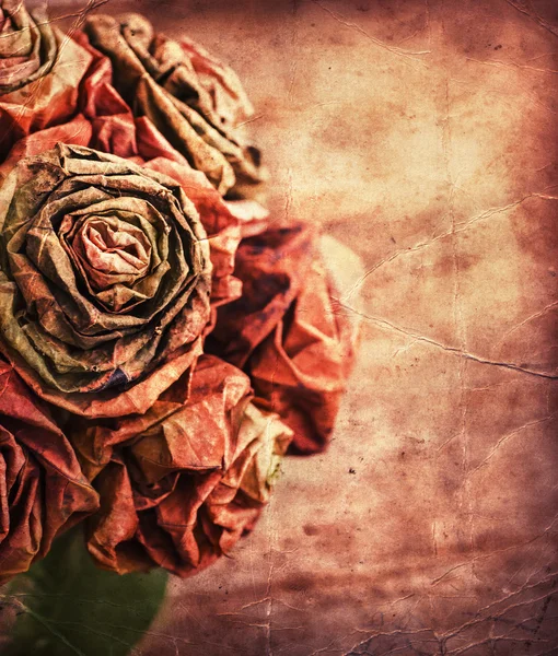 Dry paper roses — Stock Photo, Image