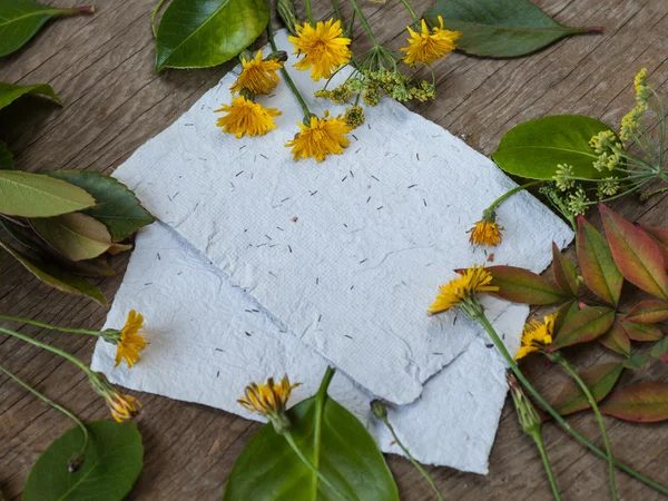 Bladeren, bloemen en papers — Stockfoto
