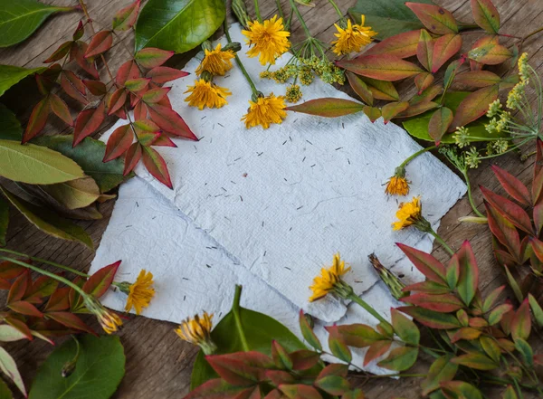 Folhas, flores e papéis — Fotografia de Stock