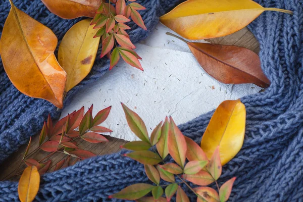 Scarf, autumn leaves and white papers — Stock Photo, Image