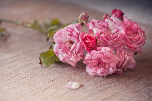 Růžové růže na dřevěný stůl — Stock fotografie