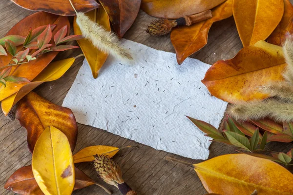 Herbst Hintergrund mit Blättern — Stockfoto