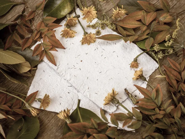 Hintergrund mit Blättern, Blumen und weißen Papieren — Stockfoto