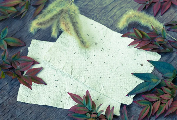 Hintergrund mit Blättern und weißen Papieren — Stockfoto