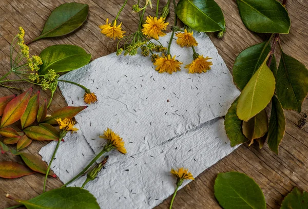Hintergrund mit Blättern, Blumen und weißen Papieren — Stockfoto