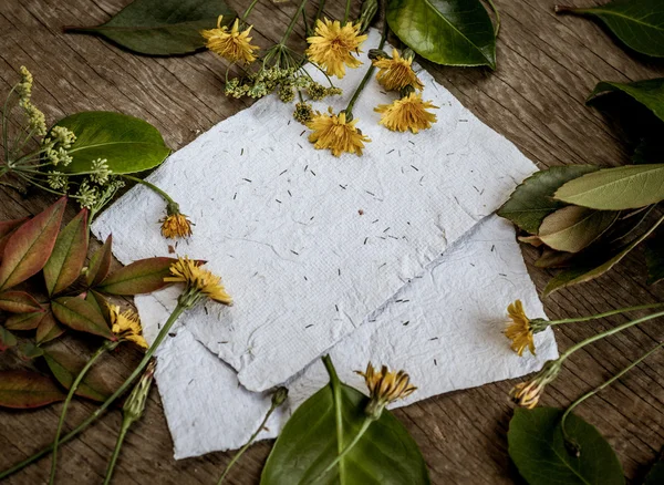 Background with leaves, flowers and white papers — Stock Photo, Image