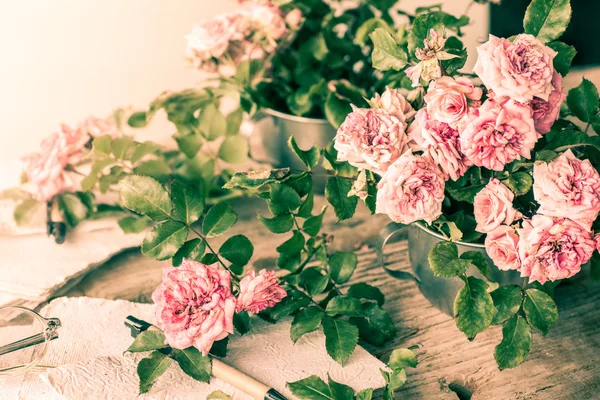 Rosas cor de rosa com óculos na mesa de madeira — Fotografia de Stock