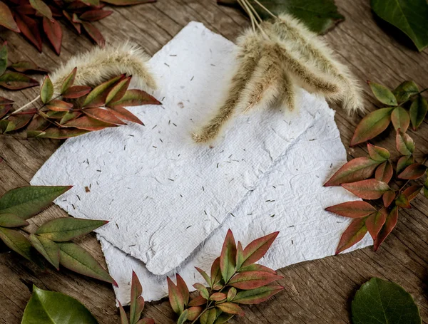 Background with leaves and white papers — Stock Photo, Image