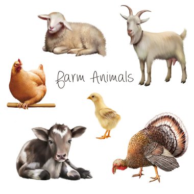 Bir grup çiftlik hayvanı.