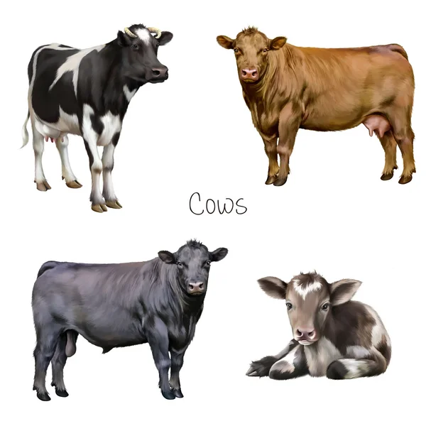 Bir grup çiftlik hayvanı.