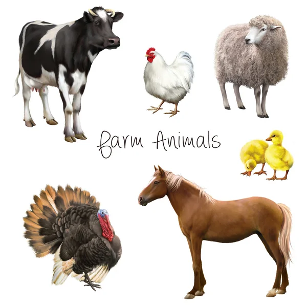 Set of farm animals — Stock Image Set of farm animals Royalty Free Stock Photos