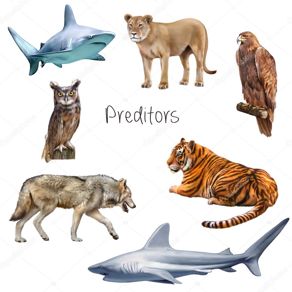 Different kinds of predators