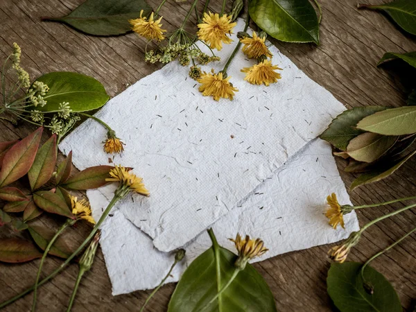 Background with flowers and papers — Stock Photo, Image