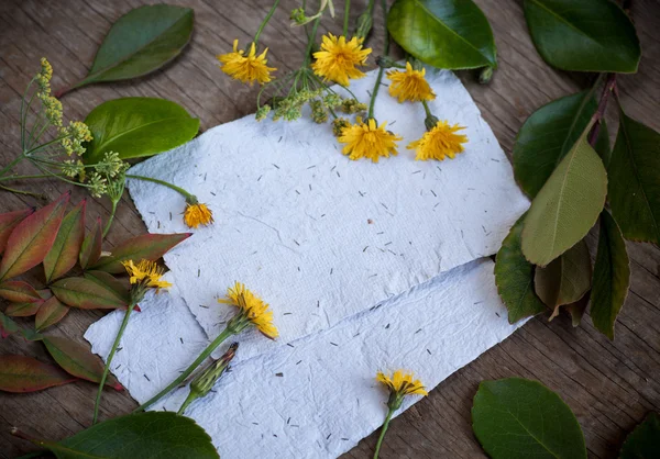 Hintergrund mit Blumen und Papieren — Stockfoto