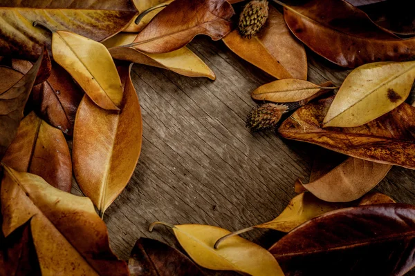 Fondo de otoño con hojas — Foto de Stock