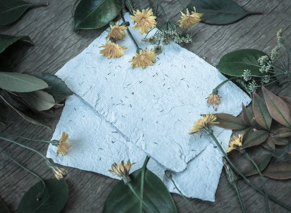 Hintergrund mit Blättern, Löwenzahnblüten — Stockfoto