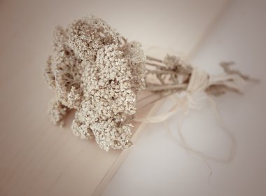 Milfoil flowers on wooden table