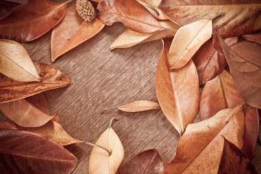 Autumn background with leaves clipart