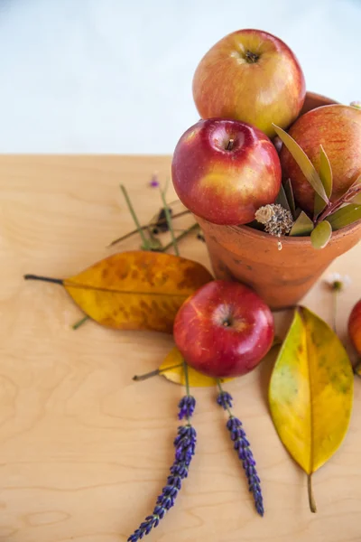 Pommes et feuilles d'automne — Photo